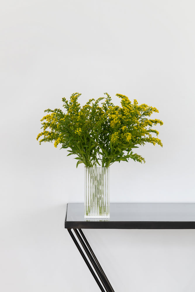 The PHILO vase in Clear