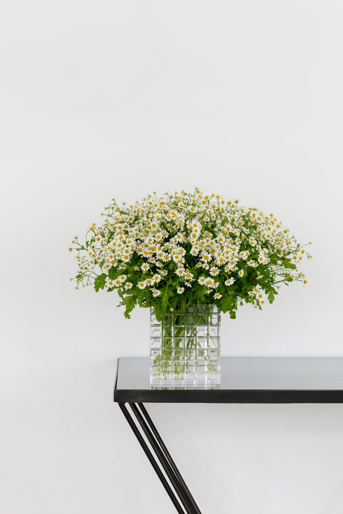 The LOULOU vase in Clear
